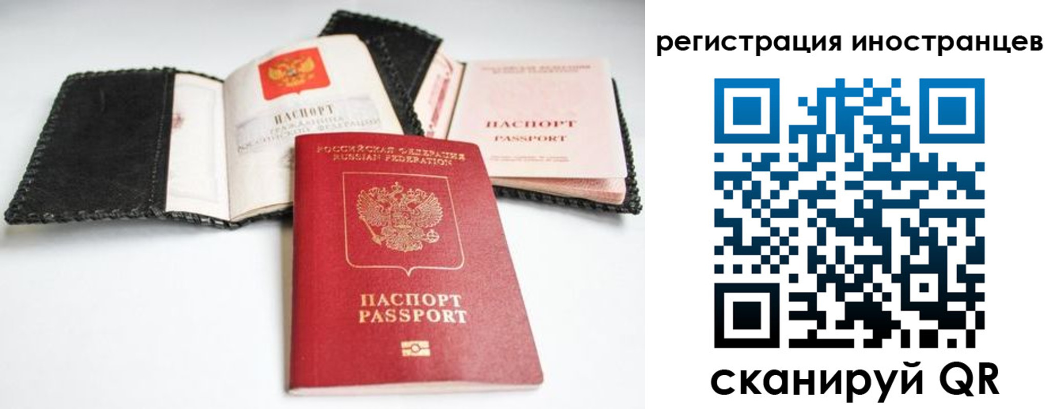 прописка гарантия в Родниках